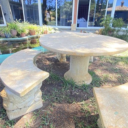 شقة Jacaranda كاديز المظهر الخارجي الصورة